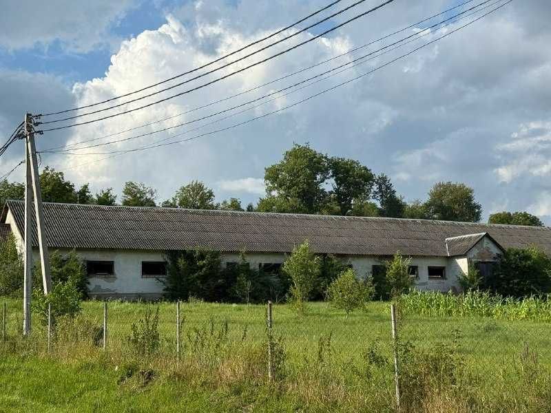 Виробниче приміщення, нежитлове приміщення, телятник, ферма