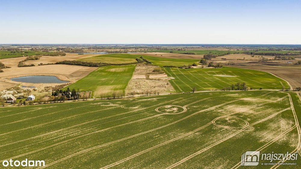 Niesułów-Działka Rolna 6,39 Ha Klasa III