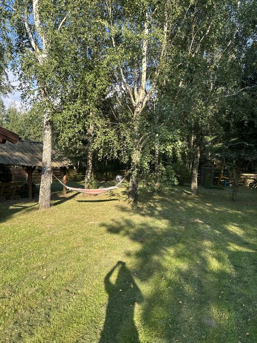 Dom – Gulbity, powiat ostródzki - Więcej