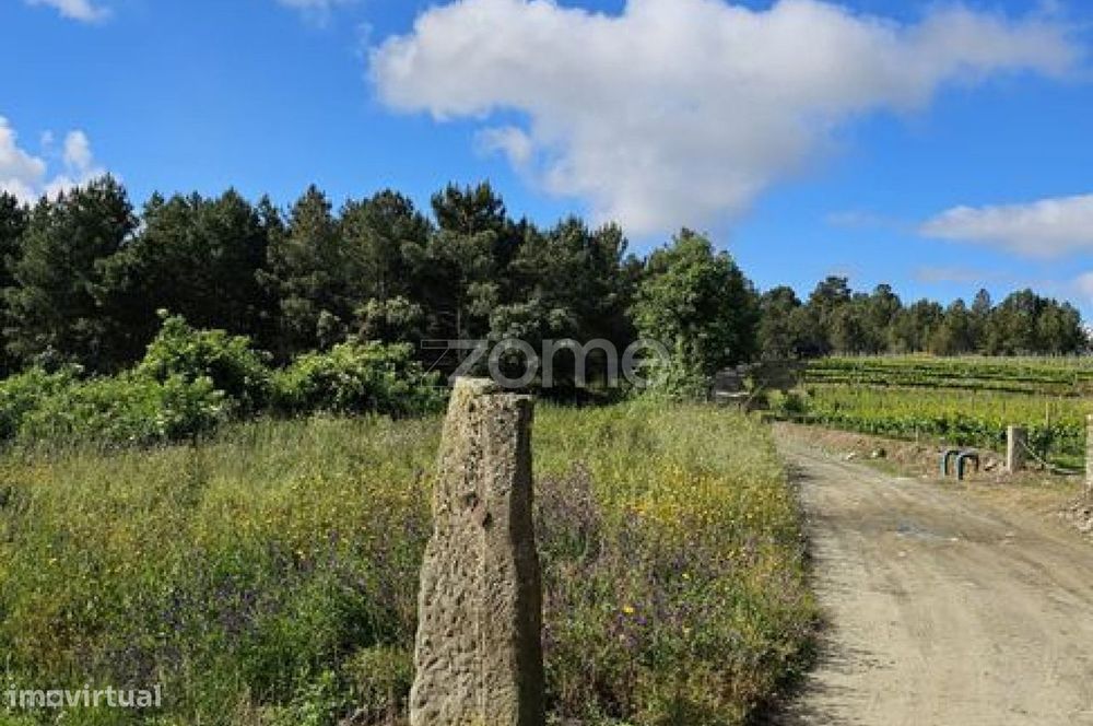 Terreno, Favaios