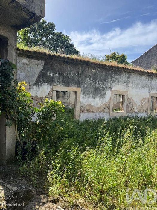 Loja / Estabelecimento Comercial em Malhou, Louriceira e Espinheiro de