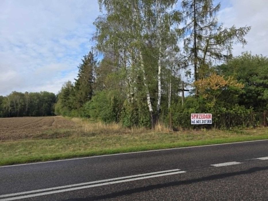 Działka z możliwością zabudowy, blisko sklepy - Widok 3