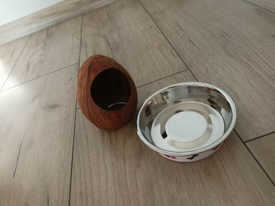 Chomik/terrarium/pozostałości po chomiku