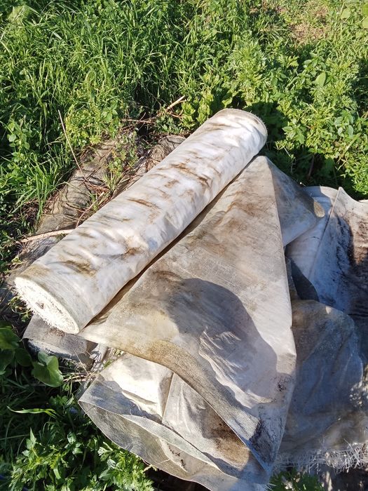 Rolos de plástico rafia