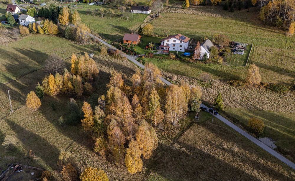 Działka budowlana 1500m2 w górach Koszarawa Cicha