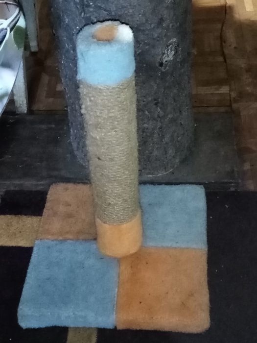 Когтеточка для кота