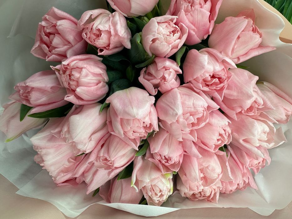 Зріз тюльпанів до 8 березня, 14 лютого