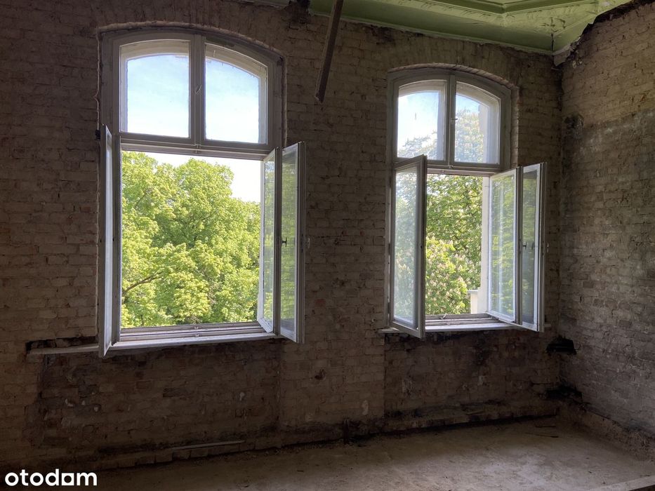 Łazarz mieszkanie kamienica 50m² 3,7m wysokości widok na Park Wilsona
