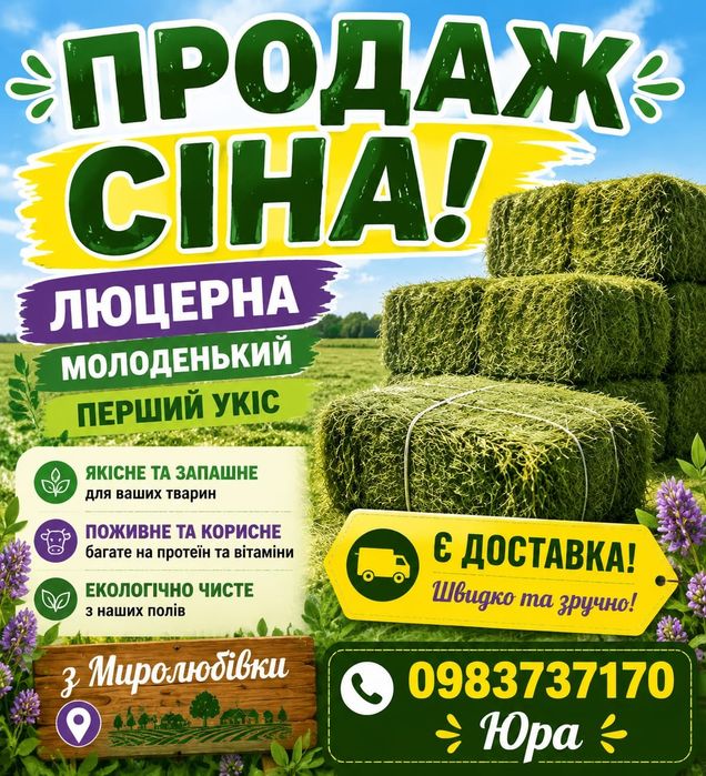 Сіно люцерна цьогорічне