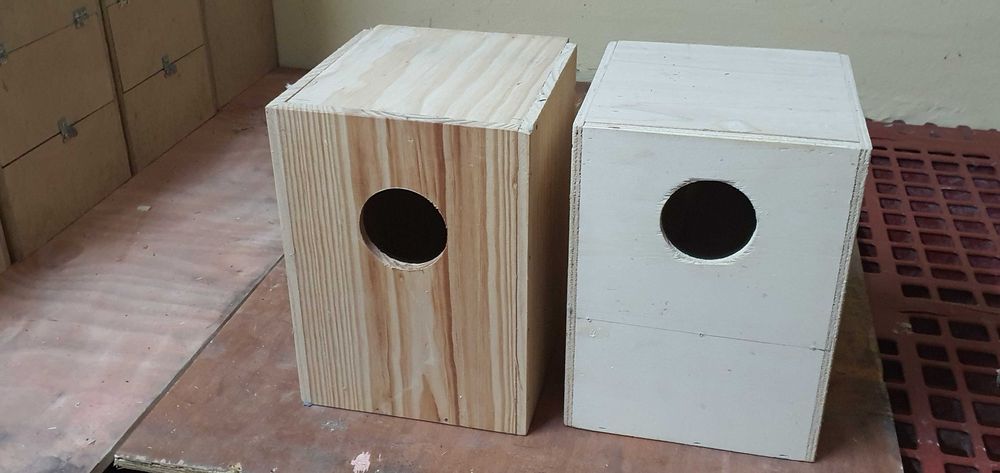 Ninhos usados em bom estado