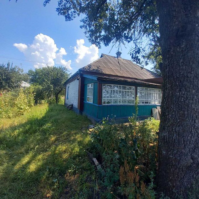 Будинок у с. Повстин