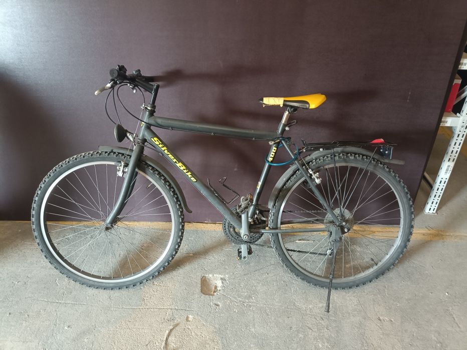 Rower silverbike