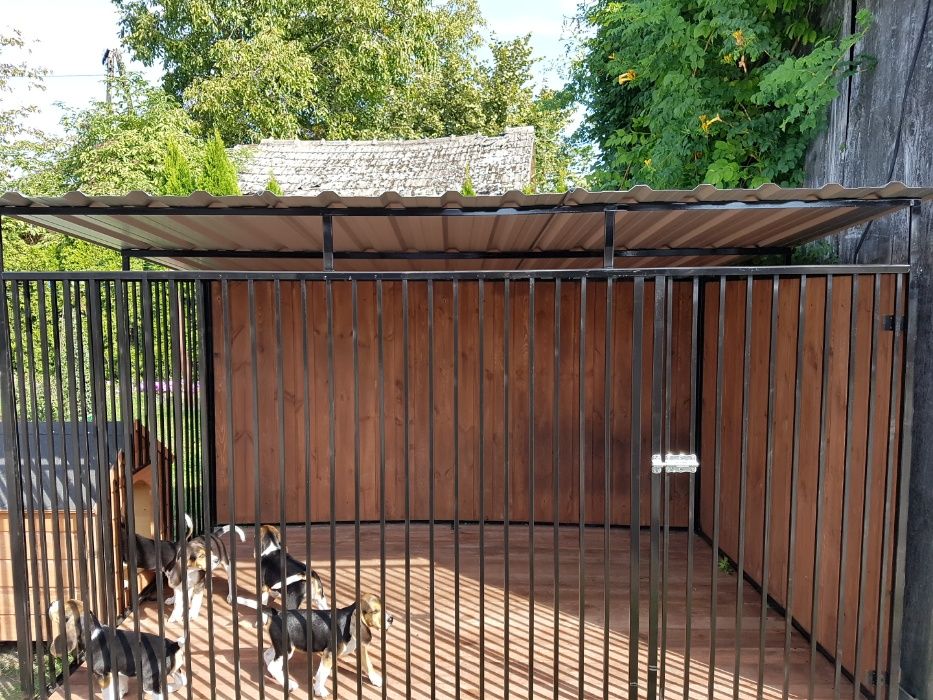 Kojec Klatka Zagroda Buda dla psa 3mx2m Montaż Gratis Solidny