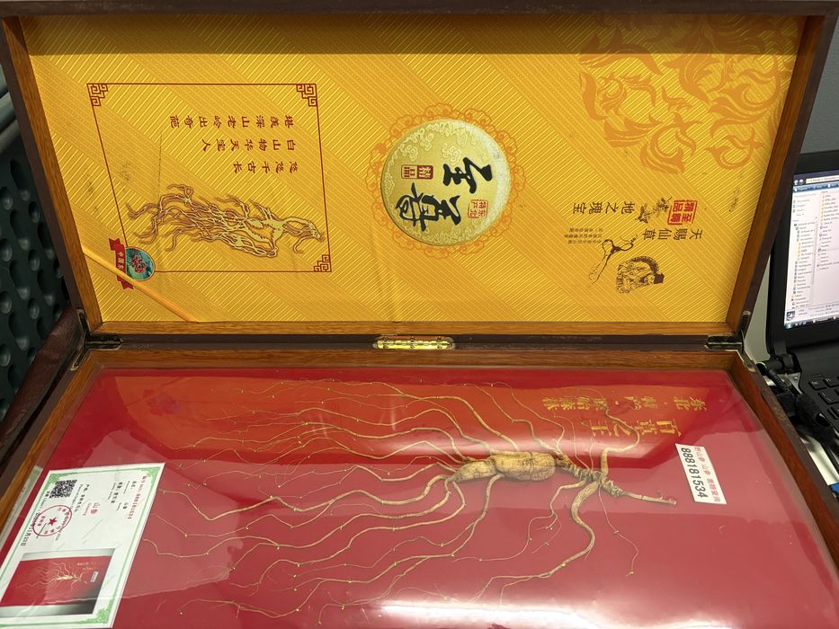 Ginseng selvagem 20/30 anos