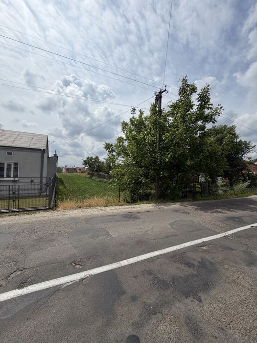 Продаж земельної ділянки Великі Грибовичі