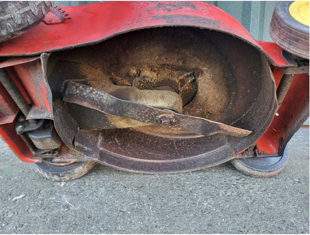 Kosiarka Spalinowa Wolf Garten Briggs Stratton Honda Mtd Szprotawa OLX.pl