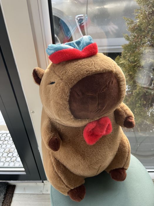 Maskotka kapibara z kocykiem duza nowa