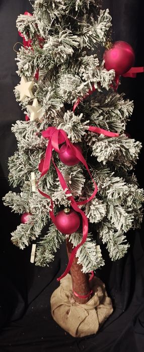 Choinka na pniu  120