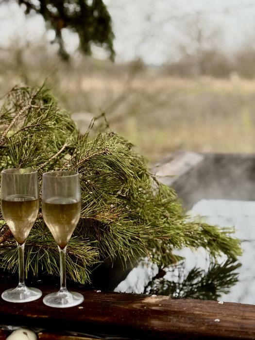 Аренда дом в лесу баня чан