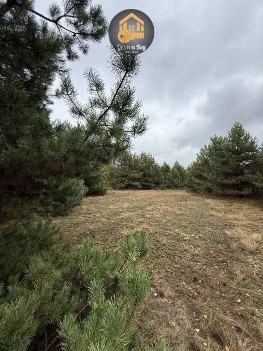 Продам Земельну Ділянку 20 соток, Серед Сосен,с.Абрамівка, Київ