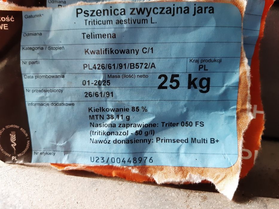 Sprzedam pszenicę i pszenżyto