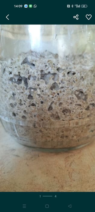 Zakwas na chleb lub żurek