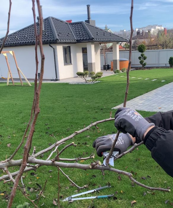 Обрізка саду Обрезка сада Обрізка дерев Обрезка деревьев
