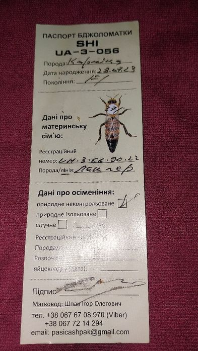 Бджоли:пакети,відводки,рої. Можлива доставка по області.