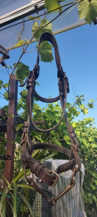 Uzda z prawdziwej skóry, zaprzęg, bryczka