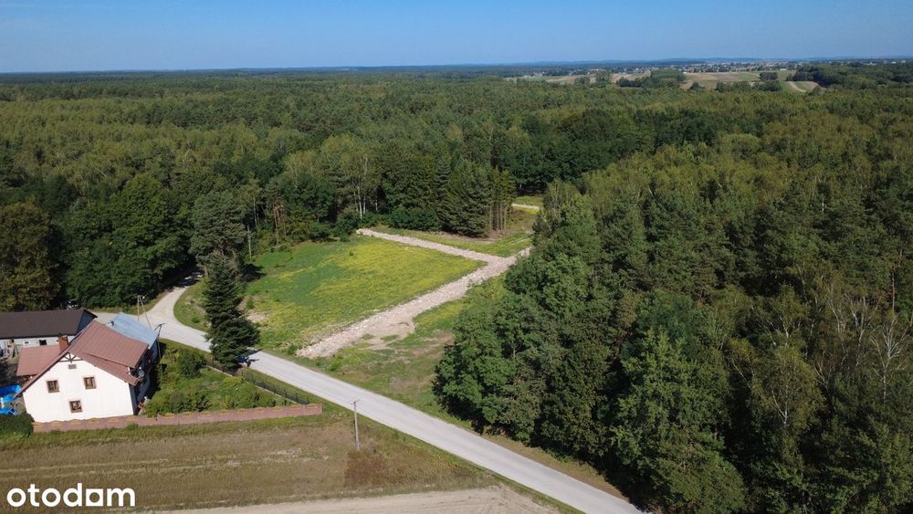 Budowlana 544 m²| Spokój i cisza | LAS | RATY| Osada Warzyn - Więcej