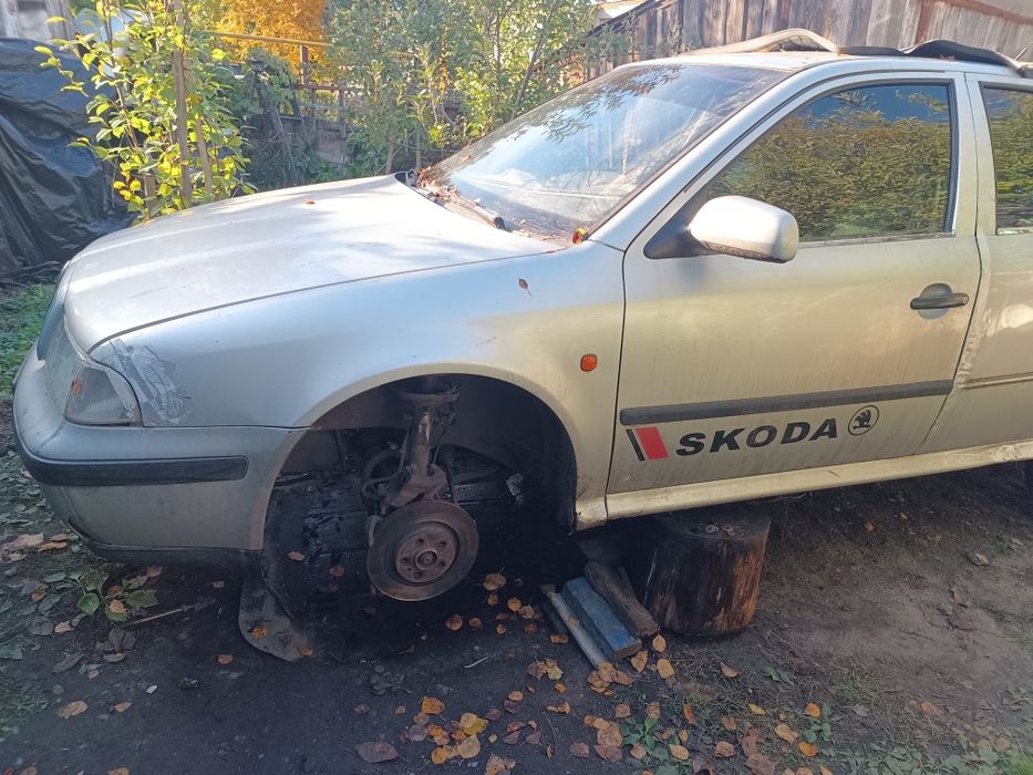 Двері шкода тур.