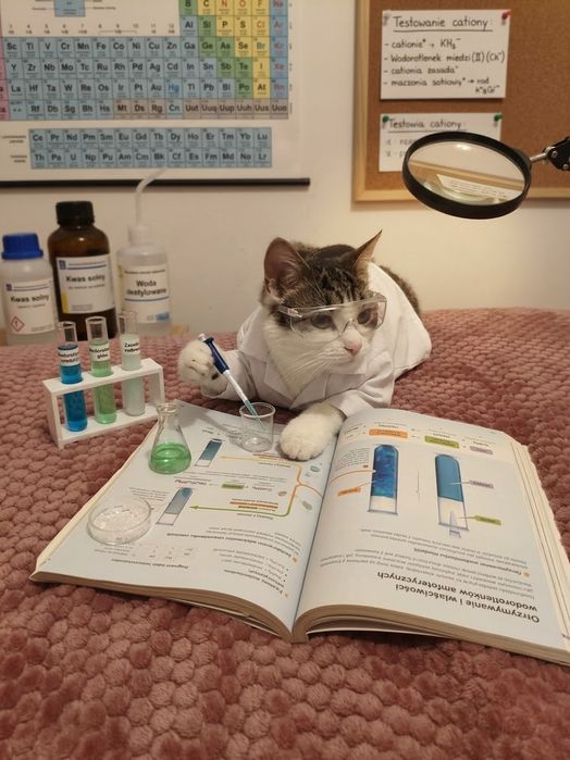 Korepetycje z chemii u studentki medycyny