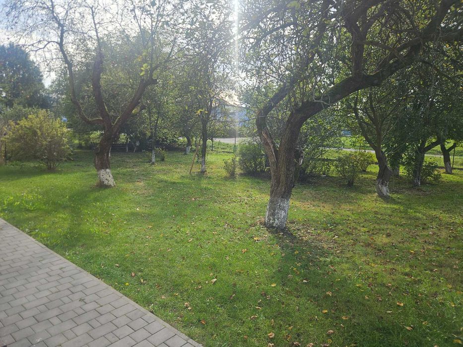Zdjęcie 8