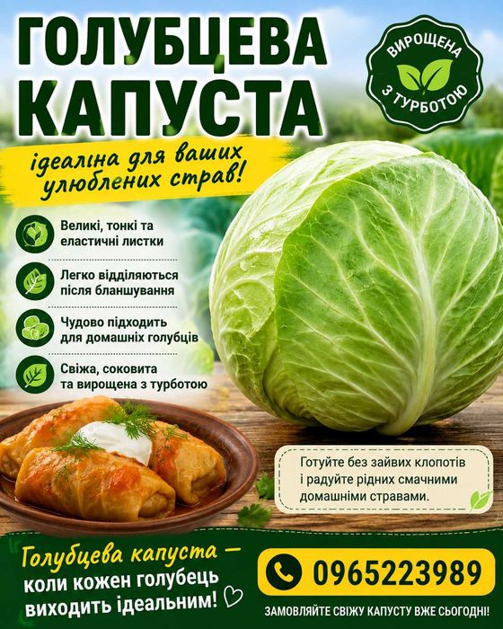 Продам капусту від 100 кг 20 грн за 1 кг