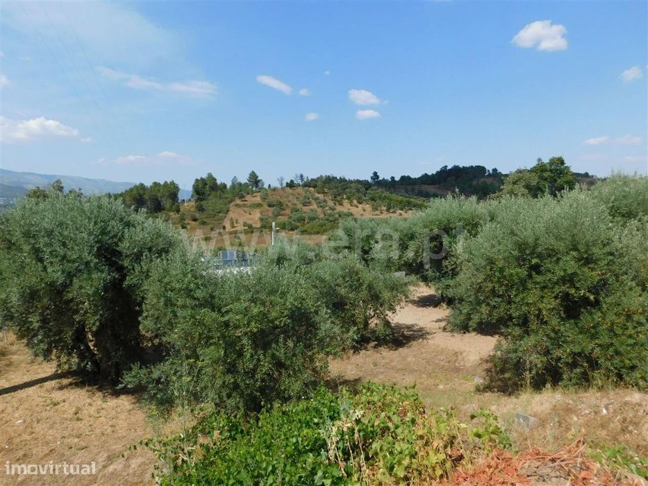 Terreno / Fundão, Alcaria