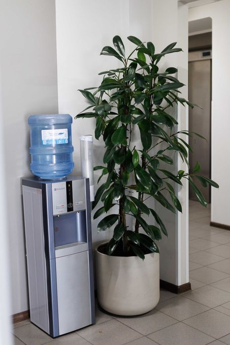 Оренда кабінетів, офісів, в центрі біля ТЦ Форуму