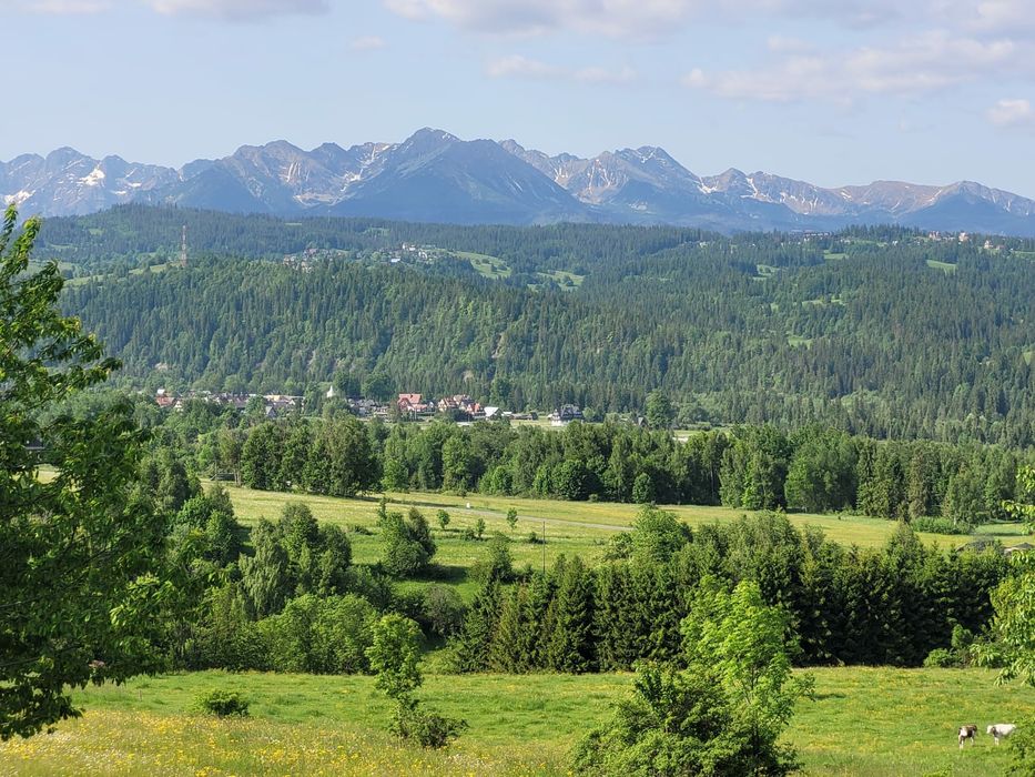Działka rolna z widokiem na Tatry Góry około 5 arów