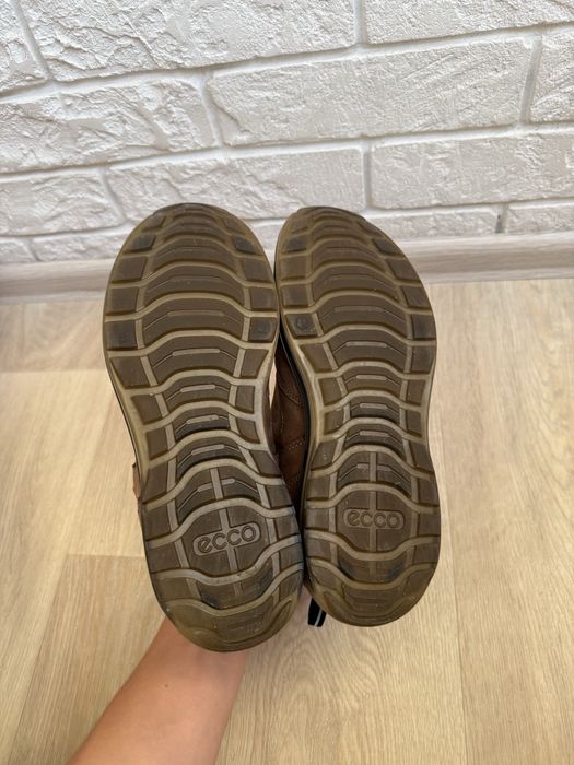 Кросівки Ecco Cool Walk