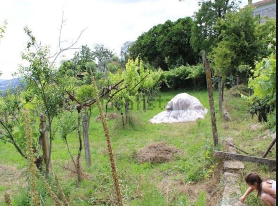 Pequena quinta com 2900m2