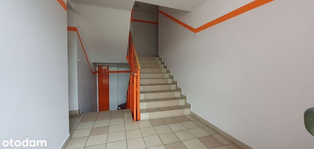 Bez pośredników, niski czynsz, świeżo odmalowane