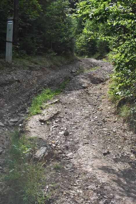 Земля в Закарпатті біля озера "Синевир"