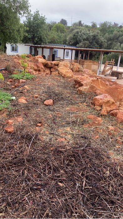 Limpeza de Terrenos e Arvores Manutenção de Jardins