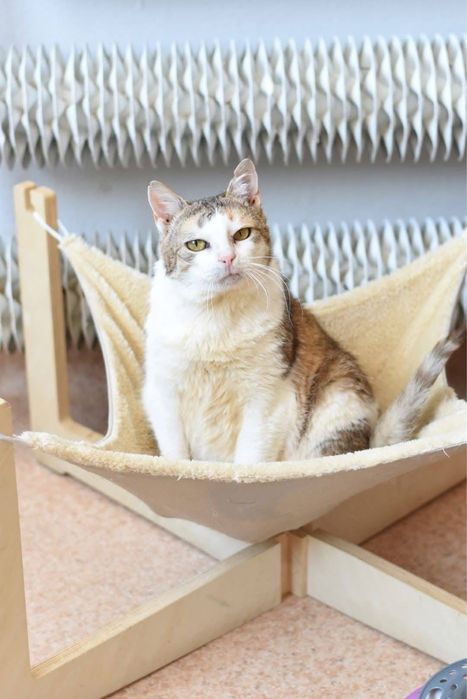 BABKA MARYLKA szuka domku