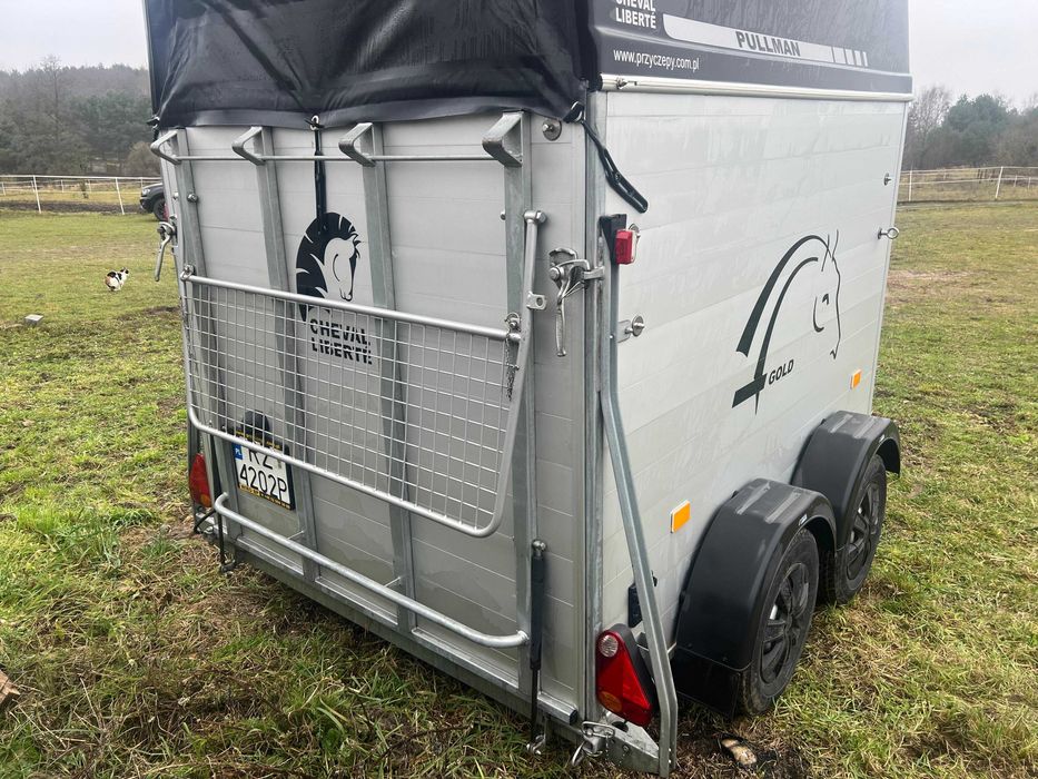 CHEVAL LIBERTE gold pullman v2 2 konna