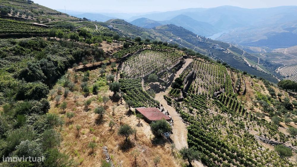 Terreno  para venda