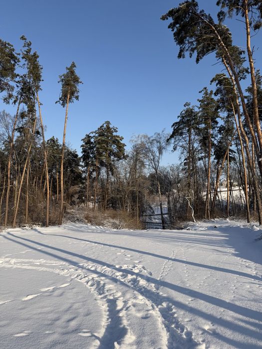 Ділянка у сосновому лісі 8-10 соток с. Ходосівка Новообухівська траса