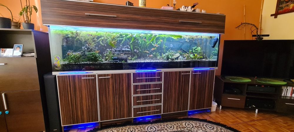 Akwarium 750l 250x60x50 kompletne LED