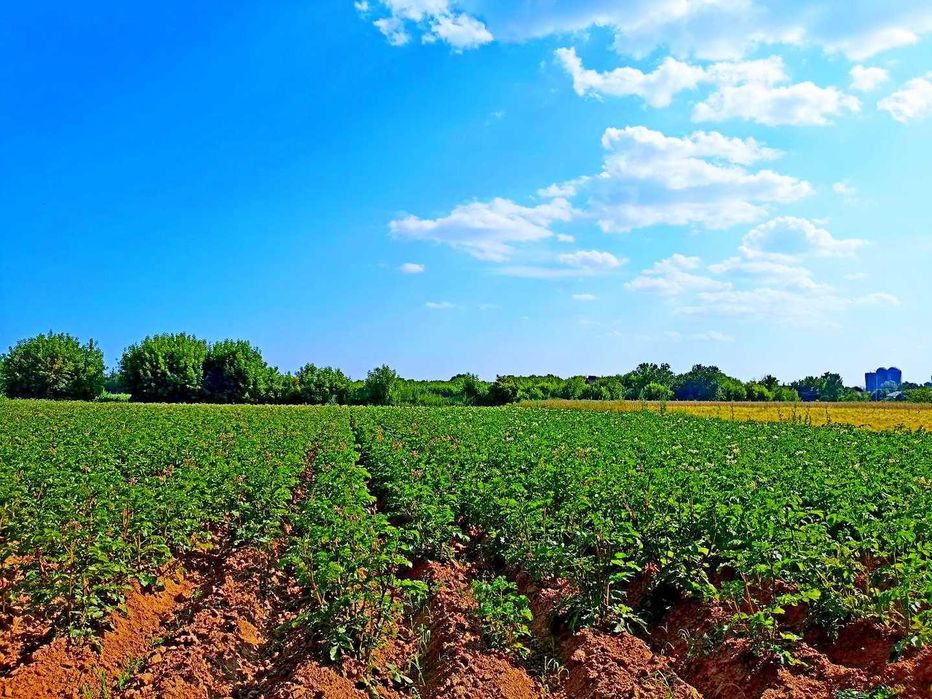 TO Хата у стародавньому селі Виблі