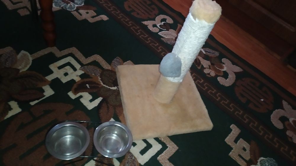 Дряпалка для кота/когтеточка мисочки для кота на підставці