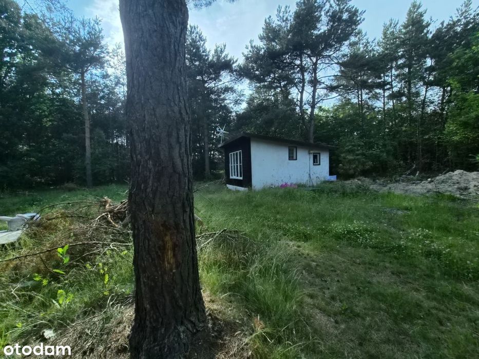 Działka 1154 m² blisko rzeki Wkry | Całoroczna lub rekreacyjna - Widok 3